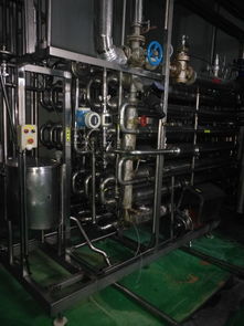 自釀啤酒新篇章 易拉罐灌裝與封口技術如何賦能現代釀造